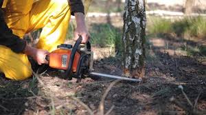 Best Leaf Removal  in Laton, CA