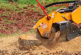 Best Commercial Tree Services  in Laton, CA